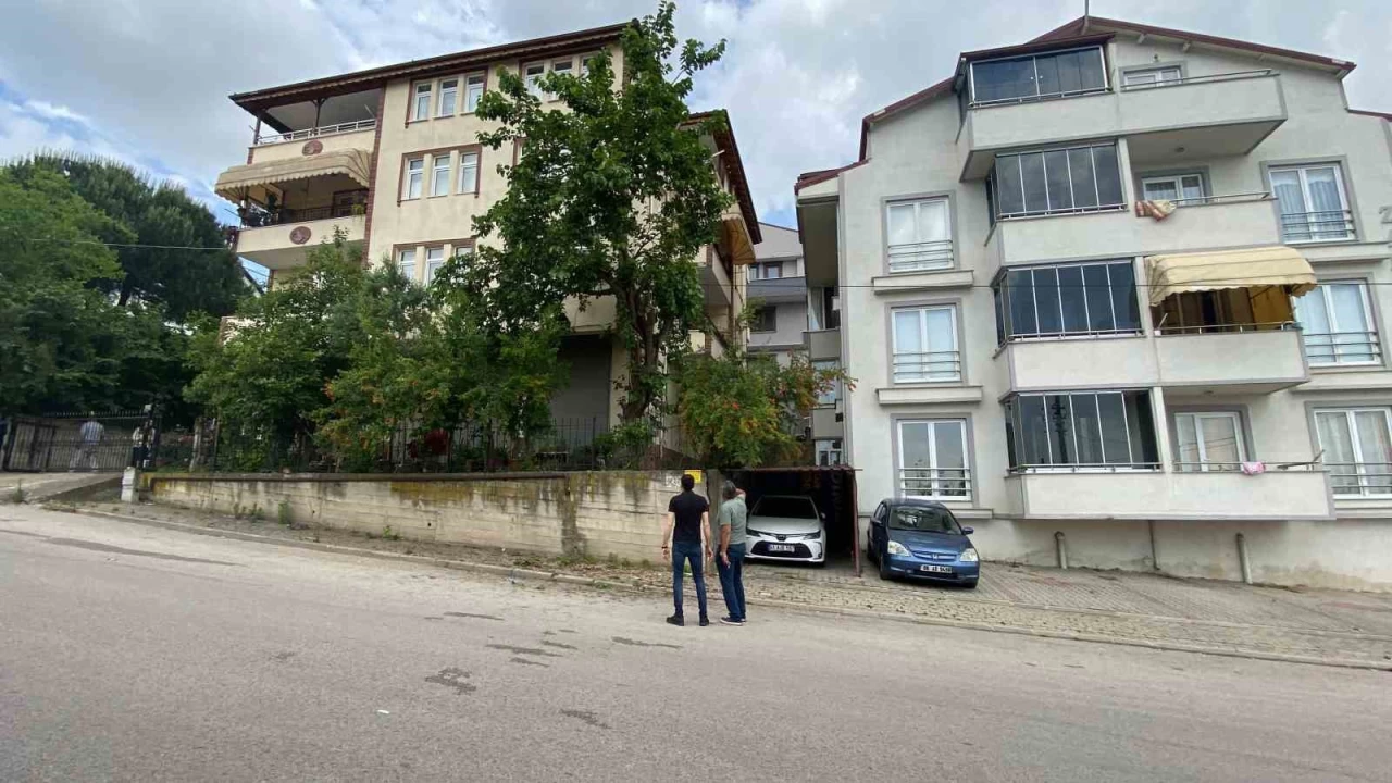 Dut toplamak için çıktığı ağaçtan düşerek demir korkuluklara saplandı