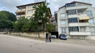 Dut toplamak için çıktığı ağaçtan düşerek demir korkuluklara saplandı