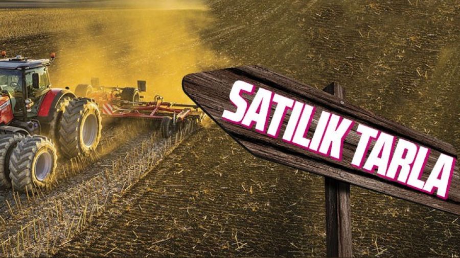 Edirne Merkez'de sat�l�k tarla