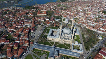 Edirne Valisi Sezer: 'Edirne genelinde başıboş köpek istemiyorum'