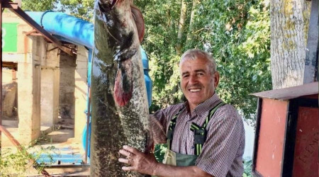 Edirne'de amatör balıkçı tam 40 kiloluk yayın balığı tuttu