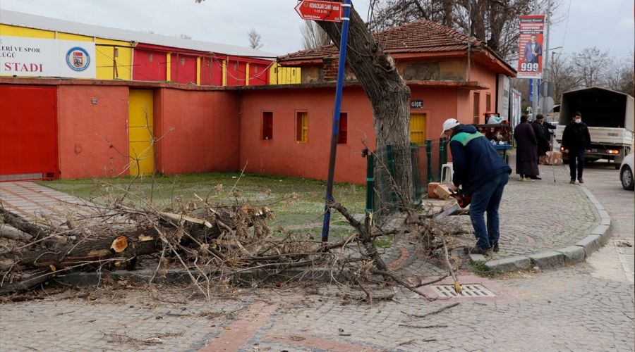 Edirne'de �iddetli r�zgar a�a� devirdi