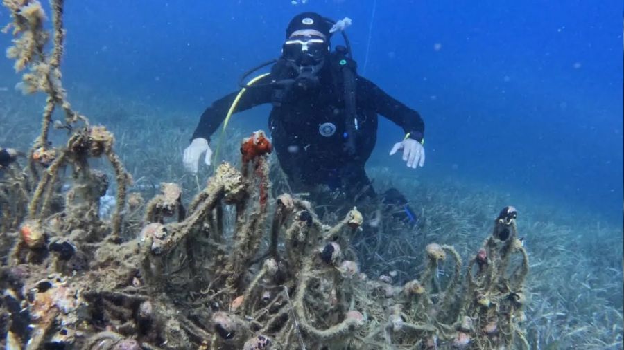 Edremit K�rfezi'nde hayalet a�lar temizleniyor