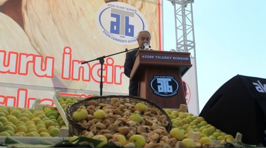 Ege Bölgesi kuru incir rekoltesi açıklandı