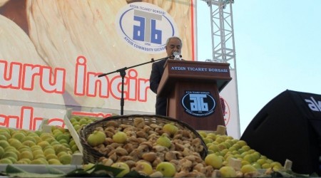 Ege Bölgesi kuru incir rekoltesi açıklandı