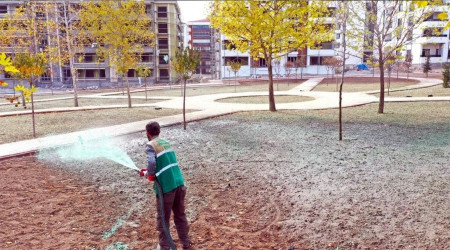 Elazığ Belediyesinden soğuğa dayanıklı yeşillendirme çalışmaları