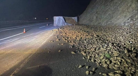 Elazığ'da şeker pancarı yüklü tır devrildi