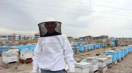 Eskişehir'de kovanlar 20'şer kilo bal verdi