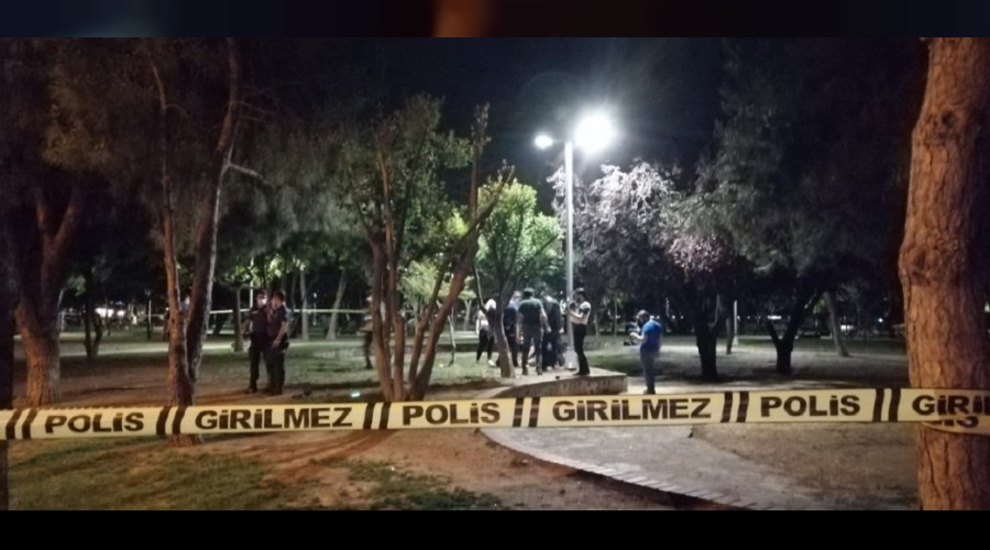 Evlilik teklifi kabusa dnd
