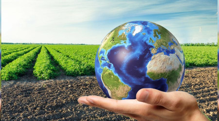 FAO: Küresel gıda fiyatları rekor kırdı
