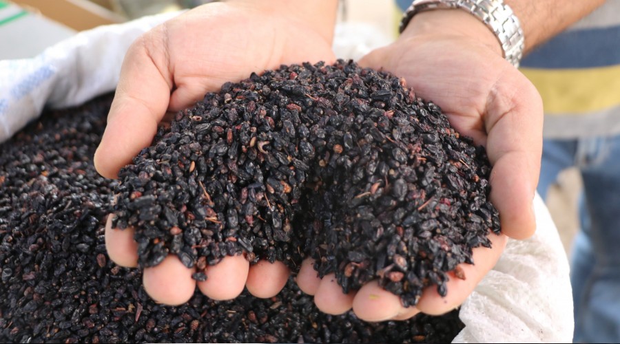 Faydas saymakla bitmiyor