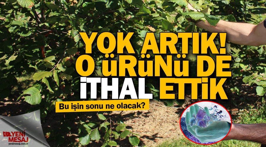 Fındık bile ithal ettik