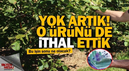 Fındık bile ithal ettik