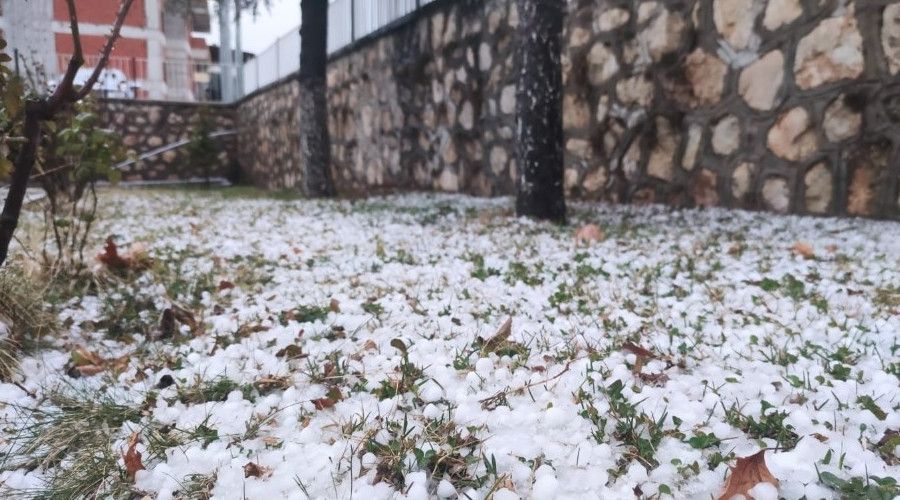 F�nd�k b�y�kl���nde dolu ya�d�, il�e beyaza b�r�nd�