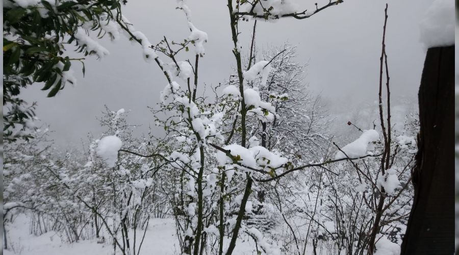 F�nd�kta y�zde 87'ye varan zarar tespit edildi