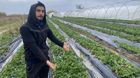 Fırtına sonrası serasını yerinde bulamadı