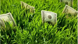 Galatasaray'ın çimlerinden dolarlar fışkırıyor