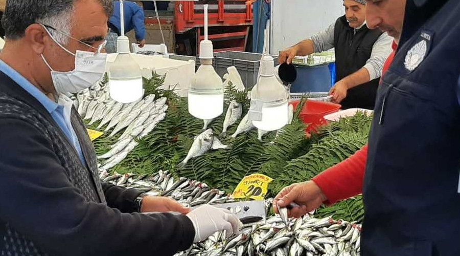 Gebzeli balıkçılar denetimden geçti
