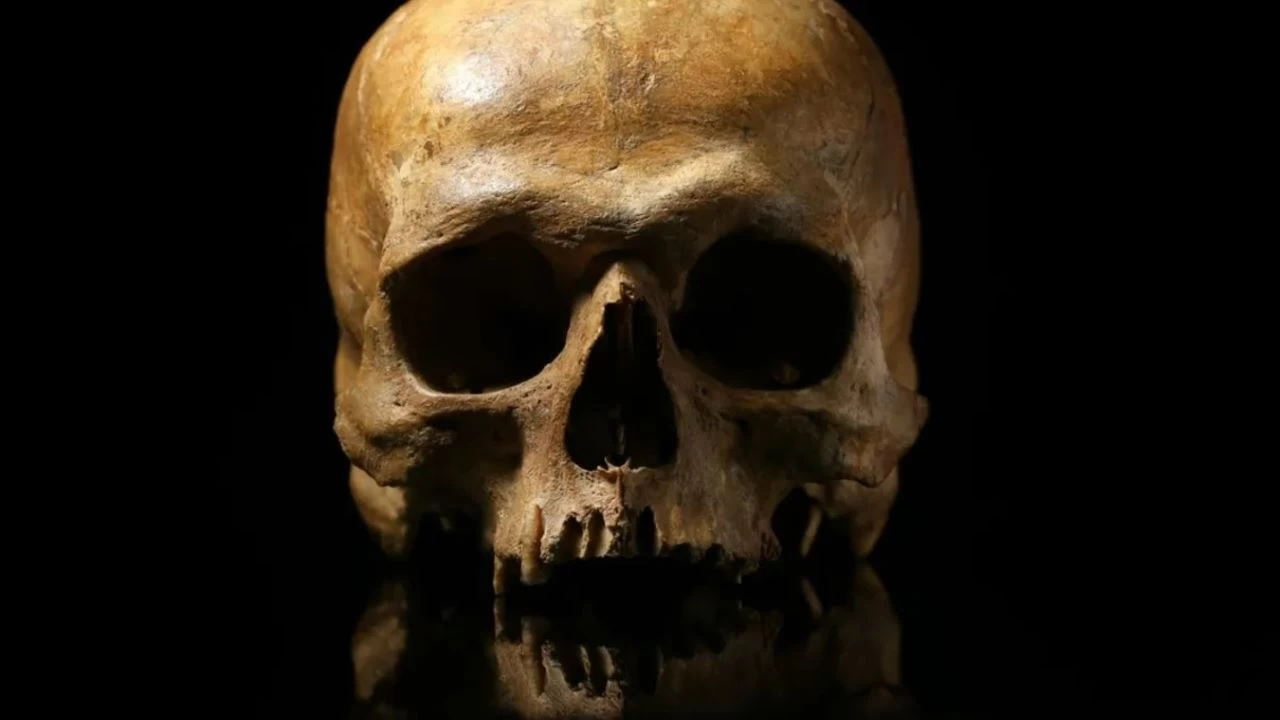 Genetik mirasın peşinde: Atalarımızın bizdeki izleri