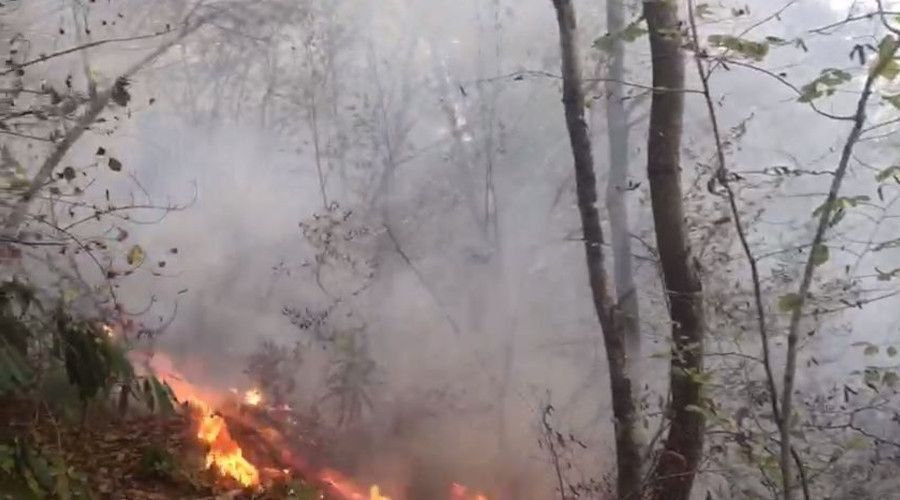 Giresun'da 4 gnde 63 krsal yangn meydana geldi