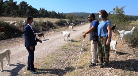 Girişimci kadın hayvan sayısını 70'den 225'e çıkarttı