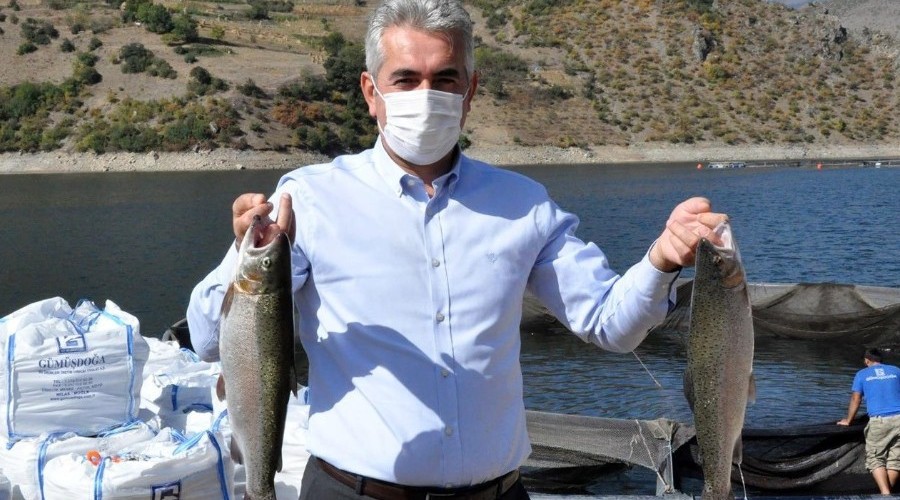Gümüşhane'de alabalık ve somon hasadı başladı