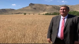 Grer: TMO kara gn dostu olmay brakt tccar gibi davranyor