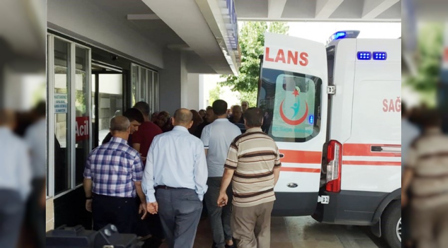 Hain tuzak 2 çocuğu canından etti