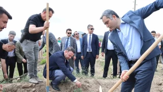 Hakim, savc ve hkmller birlikte fidan dikti