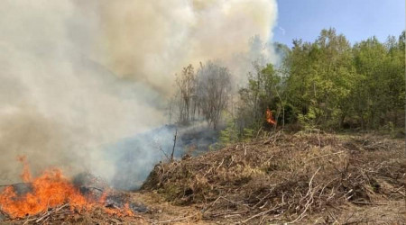 Hatay'da çýkan orman yangýný söndürüldü