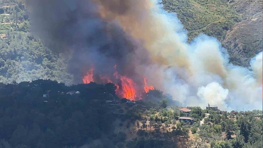 Hatay'da orman yang�n�