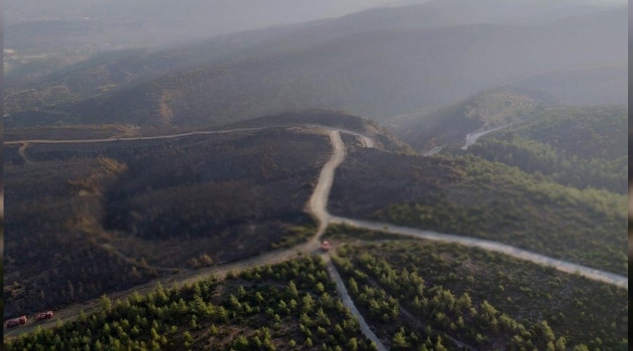 Hatay'da yangını soğutma çalışmaları sürüyor