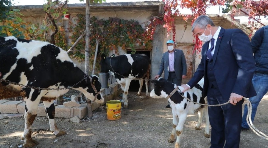 Hayvan yetiştiricilerine destek sürecek