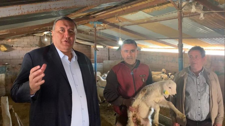Hayvancılık büyük bir çıkmazda