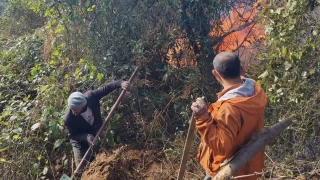 Hopa'da 5 hektarlk alan kle eviren yangnla mcadele sryor