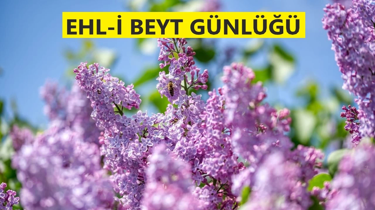 Hz. Ali: �Benden ba�kas�n� aldat�n!�