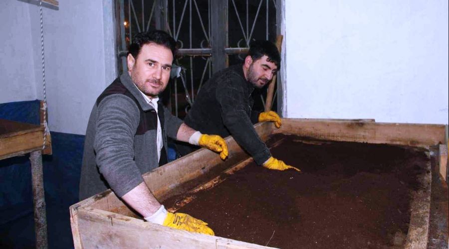 İki katlı evde solucan gübresi üretiyor