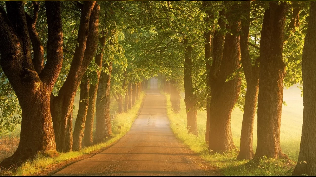 �mam R�za�n�n ekonomik hayat ile ilgili g�r��leri