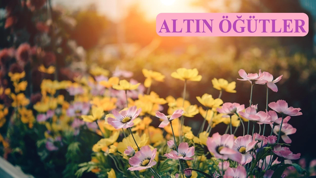 İmanı inkâr edenin ameli boşa gider