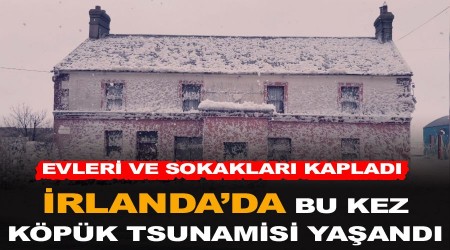 İrlanda'da bu kez köpük tsunamisi yaşandı