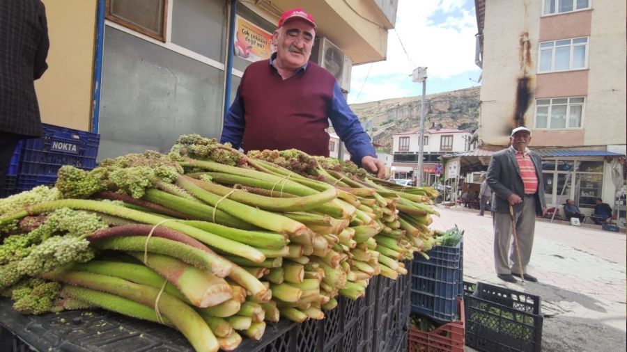 'Ikn' tezgahlardaki yerini ald