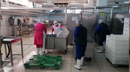 Isparta bir yılda 3 bin 423 ton alabalık ihraç etti