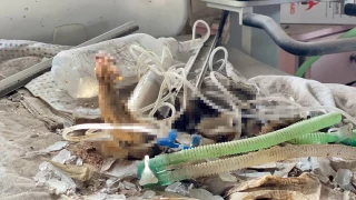 srail'in zorla boaltt ocuk hastanesindeki bebeklerin rm bedenleri ortaya kt