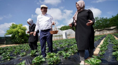  stanbul'da 170 mahalle betona direniyor
