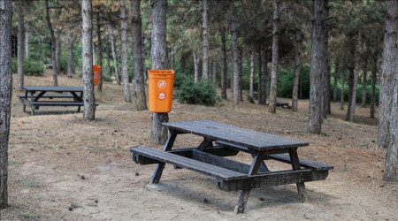 İstanbul'da ormanlık alanlara girişler yasaklandı