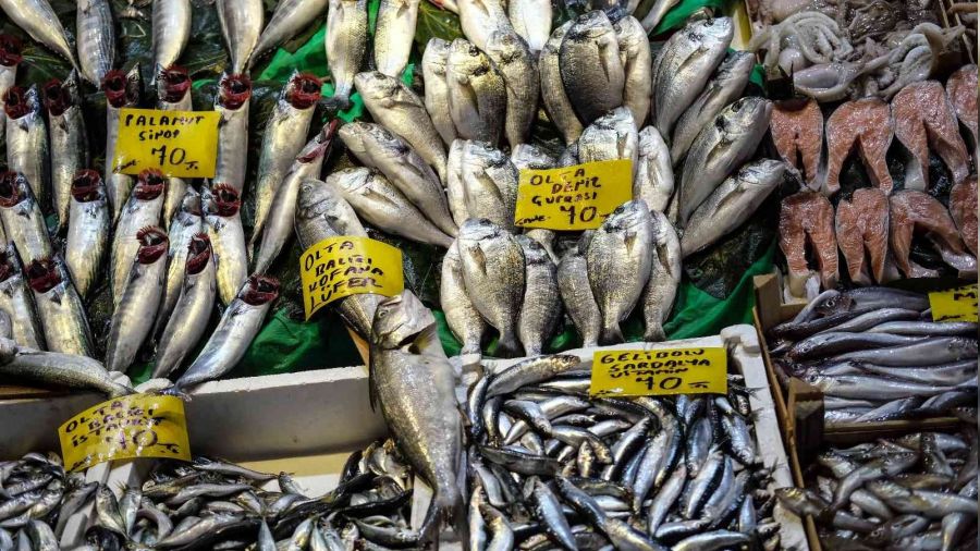 �stanbul'da tezgahlarda bal�k �e�itlili�i