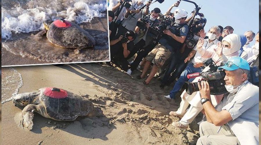 İşte kaplumbağa hızı: Likya 296 günde Tunus'a ulaştı