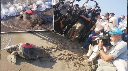 İşte kaplumbağa hızı: Likya 296 günde Tunus'a ulaştı