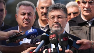 zmir ve Balkesir'deki orman yangnlar kontrol altna alnd