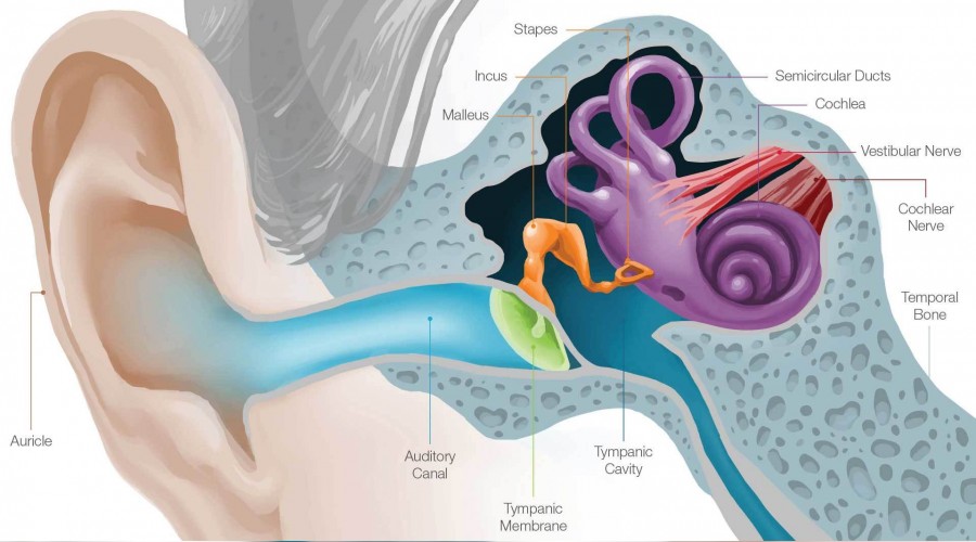 ‘Kadınlarda daha sık görülüyor’